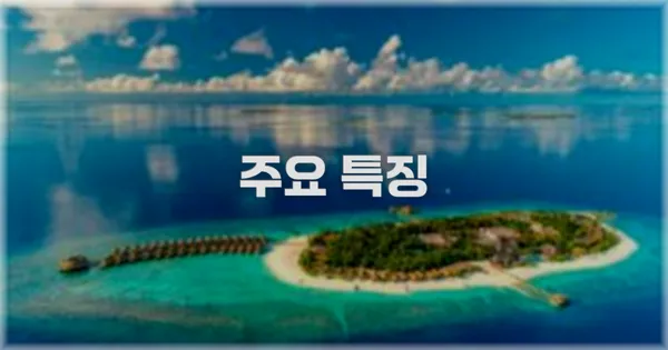 ✨ 주요 특징