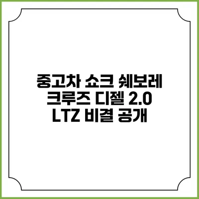 중고차 쇼크 쉐보레 크루즈 디젤 2.0 LTZ 비결 공개