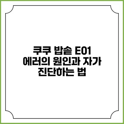 쿠쿠 밥솥 E01 에러의 원인과 자가 진단하는 법
