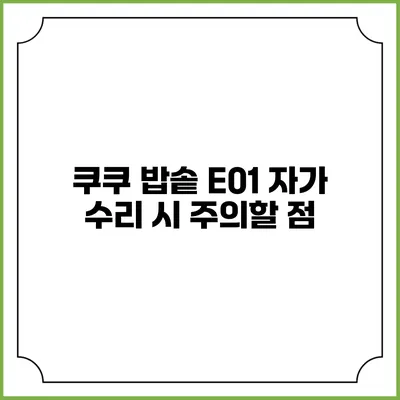 쿠쿠 밥솥 E01 자가 수리 시 주의할 점