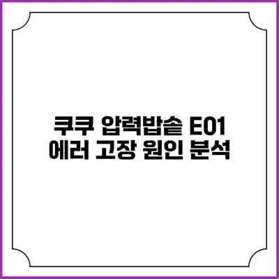 쿠쿠 압력밥솥 E01 에러 고장 원인 분석