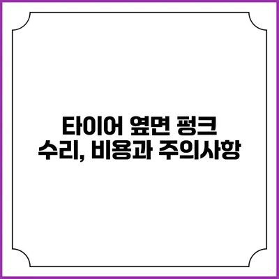 타이어 옆면 펑크 수리, 비용과 주의사항