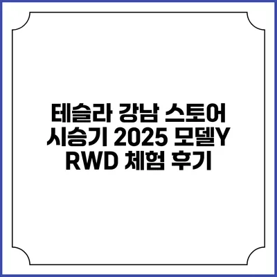 테슬라 강남 스토어 시승기 2025 모델Y RWD 체험 후기