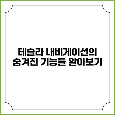 테슬라 내비게이션의 숨겨진 기능들 알아보기
