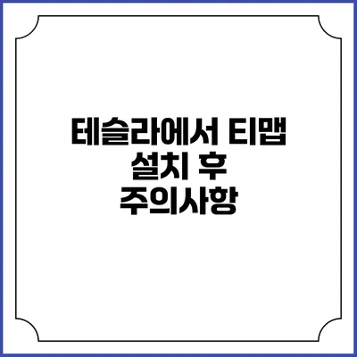 테슬라에서 티맵 설치 후 주의사항