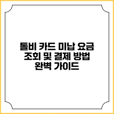 톨비 카드 미납 요금 조회 및 결제 방법 완벽 가이드