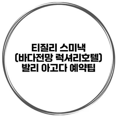 티질리 스미낵 (바다전망 럭셔리호텔) 발리 아고다 예약팁