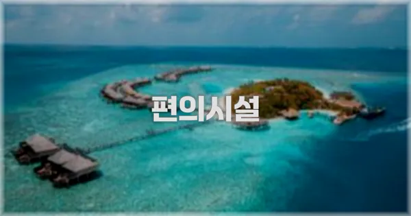 ✨ 주요 특징