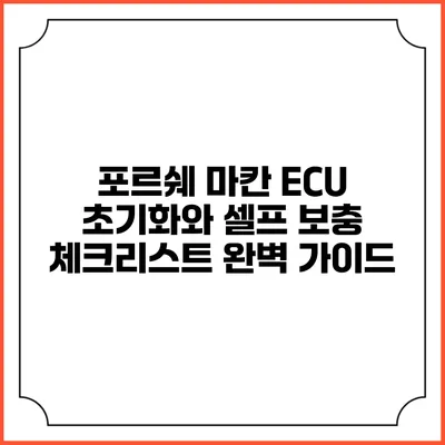 포르쉐 마칸 ECU 초기화와 셀프 보충 체크리스트 완벽 가이드