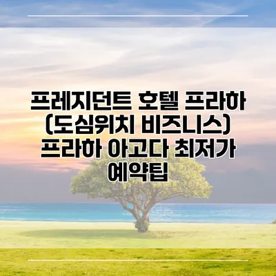 프레지던트 호텔 프라하 (도심위치 비즈니스) 프라하 아고다 최저가 예약팁