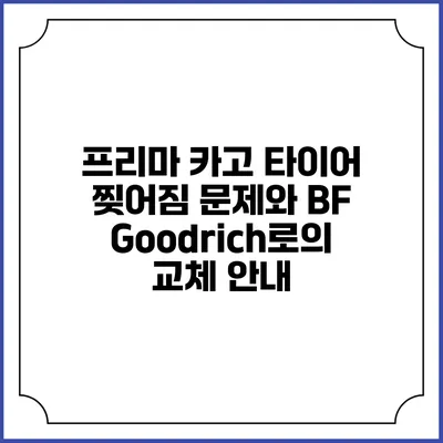 프리마 카고 타이어 찢어짐 문제와 BF Goodrich로의 교체 안내