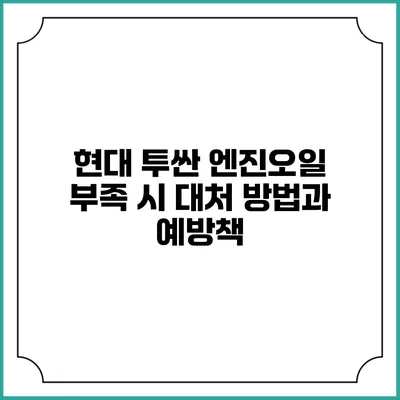 현대 투싼 엔진오일 부족 시 대처 방법과 예방책