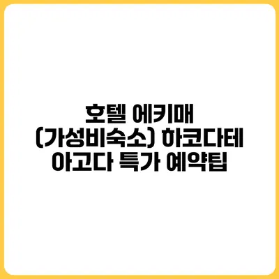 호텔 에키매 (가성비숙소) 하코다테 아고다 특가 예약팁