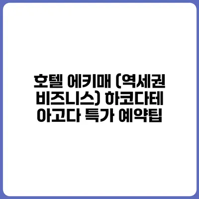 호텔 에키매 (역세권 비즈니스) 하코다테 아고다 특가 예약팁