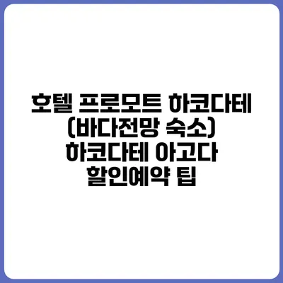 호텔 프로모트 하코다테 (바다전망 숙소) 하코다테 아고다 할인예약 팁
