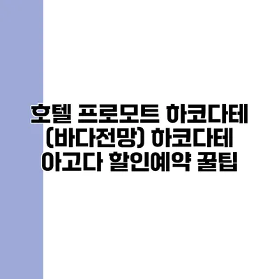 호텔 프로모트 하코다테 (바다전망) 하코다테 아고다 할인예약 꿀팁