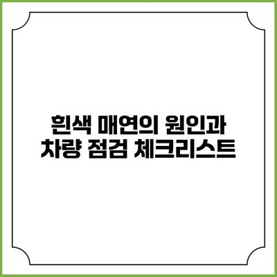 흰색 매연의 원인과 차량 점검 체크리스트